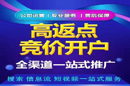 SEM专员的角色与成功案例解析